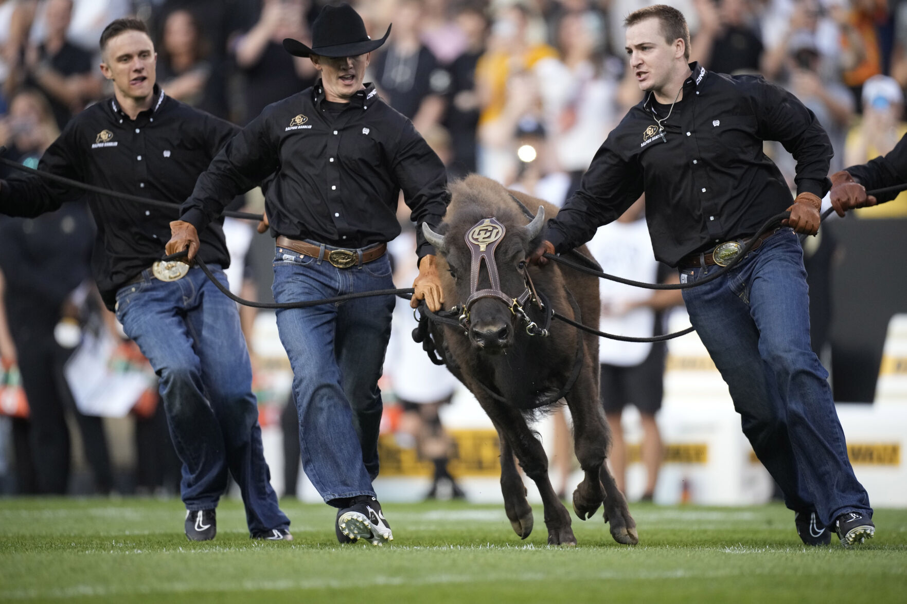 N Colorado Colorado Football